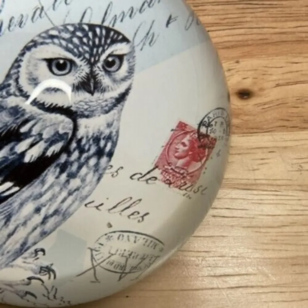 Vintage Art Glass Owl Print Living Wisdom Dome Round‎ Paperweight 1.3